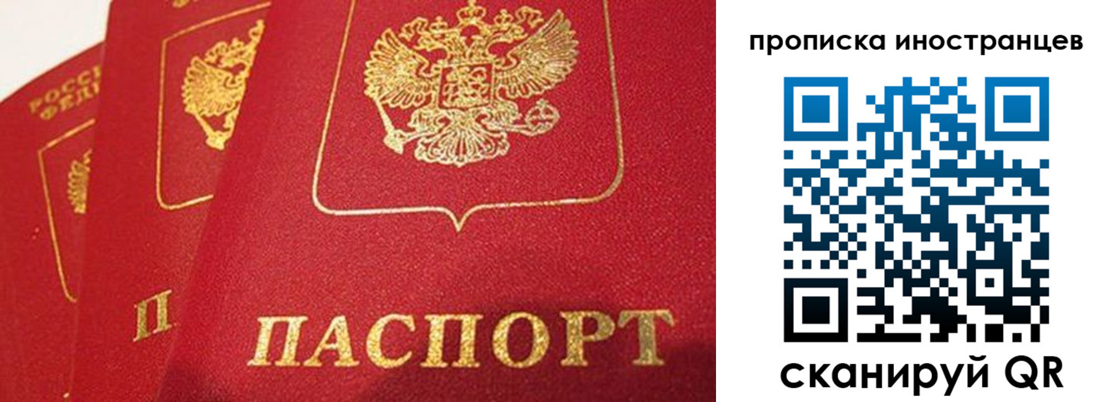 прописка поиск в Ясногорске